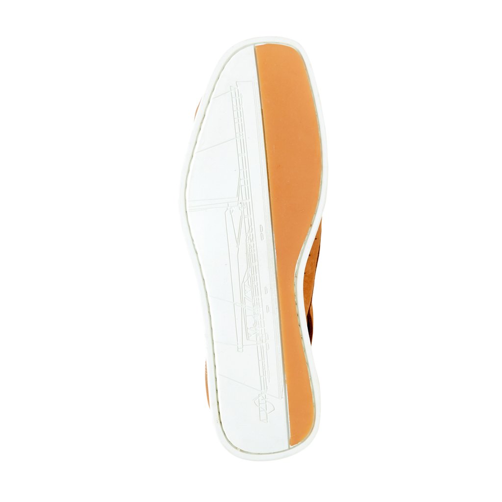 ALITHIA HIGH | Cartone